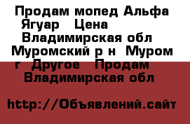 Продам мопед Альфа Ягуар › Цена ­ 34 000 - Владимирская обл., Муромский р-н, Муром г. Другое » Продам   . Владимирская обл.